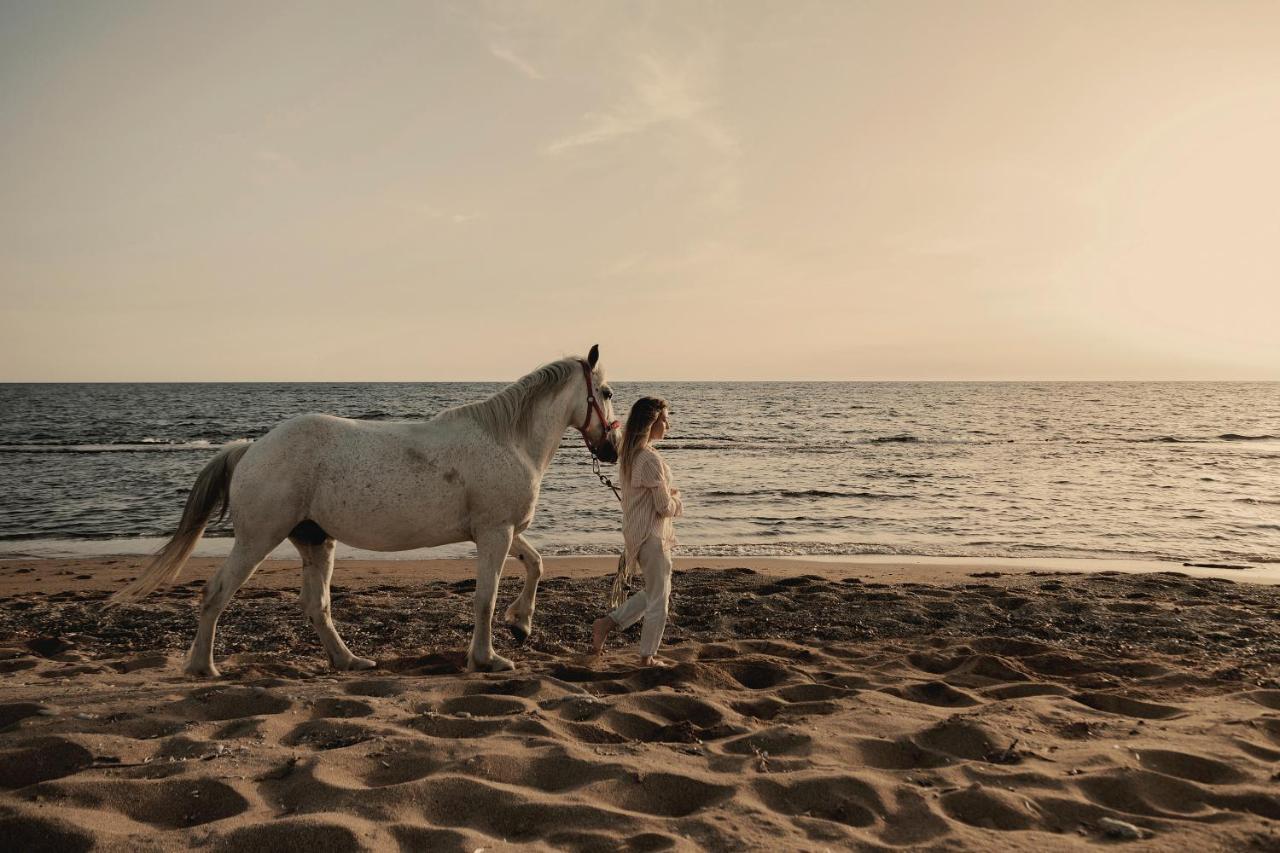 Meraviglia Slow Living Preveza Exteriér fotografie